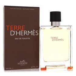 Terre D'hermes Eau De Toilette Spray By Hermes Hermes